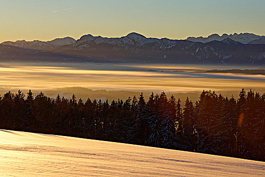 日出,冬天,风景,阿尔卑斯山,区域,上巴伐利亚,巴伐利亚,德国,欧洲