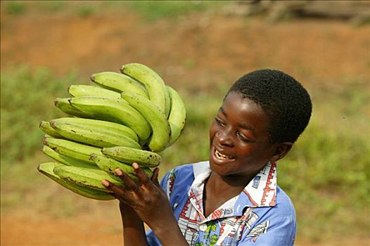 男孩,香蕉,喀麦隆,非洲