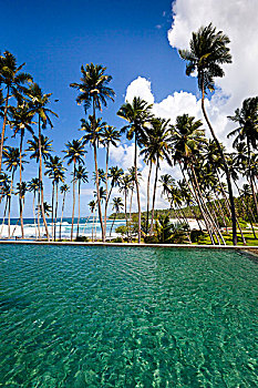 海滨地区,游泳池,酒店,斯里兰卡