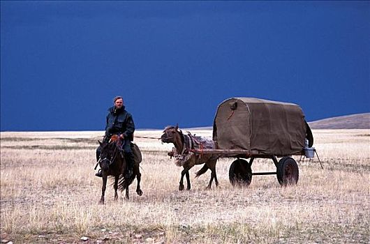 草原,篷车,马,哺乳动物,探险,蒙古,亚洲,牲畜,动物