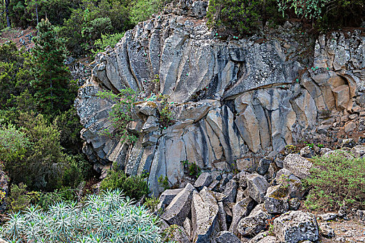 火山,玄武岩,玫瑰形饰物,粉色,加纳利群岛,特内里费岛,西班牙,欧洲