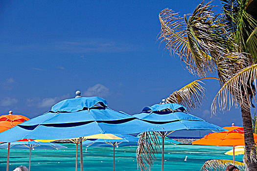 加勒比,巴哈马,伞,荫凉