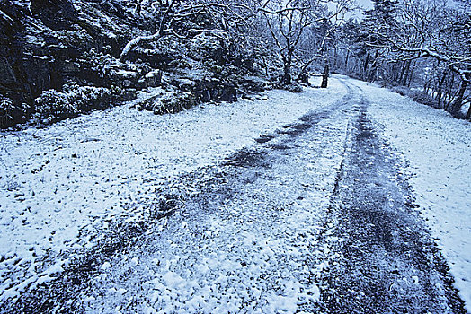 积雪,道路,通过,风景,维多利亚,不列颠哥伦比亚省,加拿大
