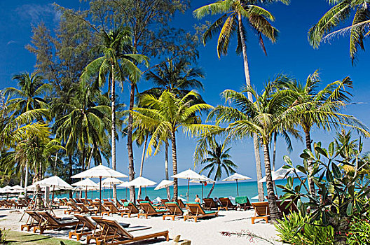海滩,棕榈树,安达曼海,泰国,亚洲
