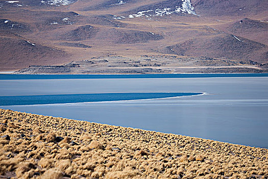 湖,水,高原,安托法加斯塔大区,智利,局部,国家级保护区