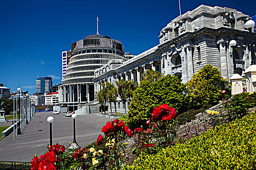 议会,房子,惠灵顿,北岛,新西兰