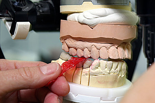 牙齿,实验室,制造,假肢,技工,控制,工作,颚部,移动,模拟器,红色,纸