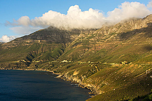 南非,岬角,半岛,查普曼峰