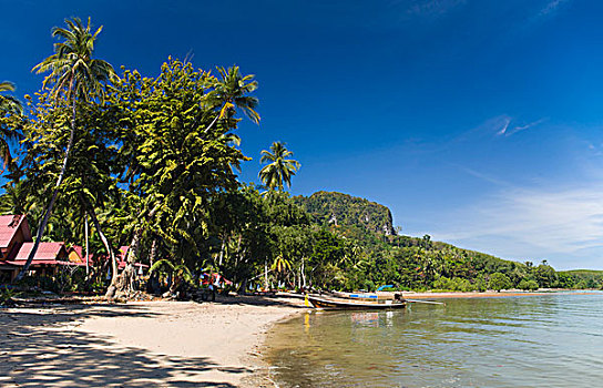 船,棕榈树,海滩,岛屿,泰国,东南亚,亚洲