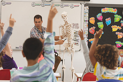 教师,解释,人体骨骼,教室