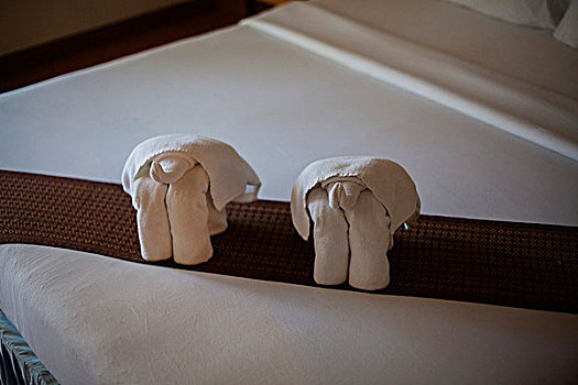 毛巾,折叠,大象