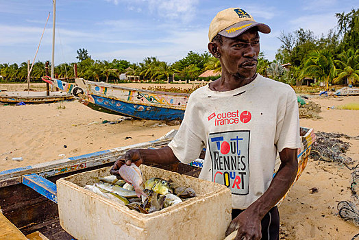 渔民,礼物,抓住,海滩,区域,塞内加尔,非洲