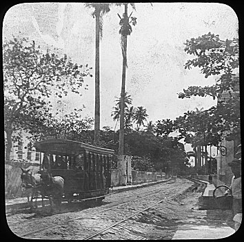 街景,马拉,有轨电车,伯南布哥,巴西,迟,19世纪,早,20世纪,艺术家,未知