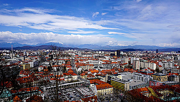 俯视,卢布尔雅那,老城,城市,斯洛文尼亚