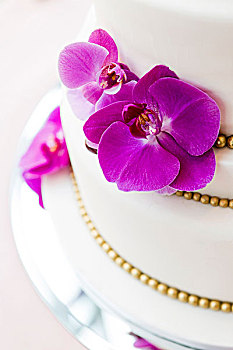 特写,婚礼蛋糕,装饰,兰花,加拿大
