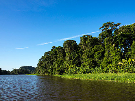 国家公园,河,丛林,哥斯达黎加,中美洲