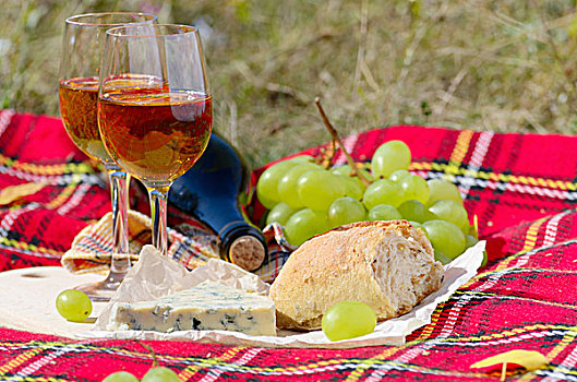 葡萄酒,奶酪,面包,水果,户外,野餐,概念
