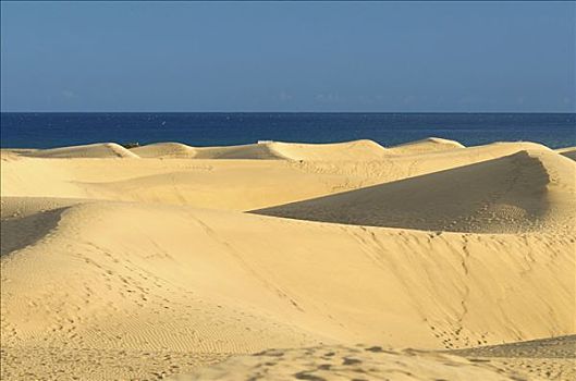 沙丘,大加那利岛,加纳利群岛,西班牙