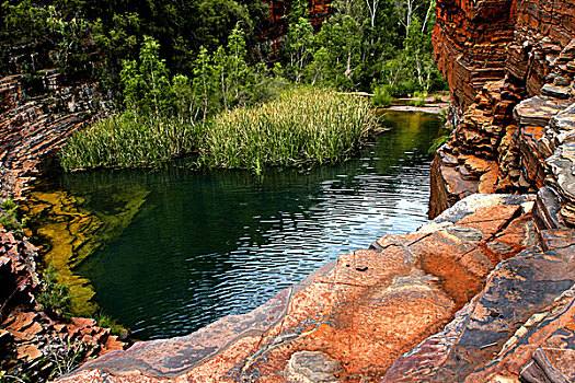 水池,卡瑞吉尼国家公园,西澳大利亚州,澳大利亚