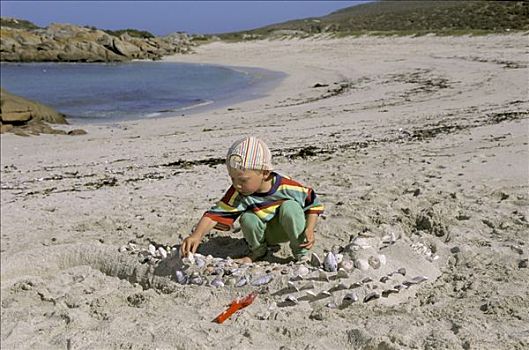 小男孩,玩,壳,海滩,南非
