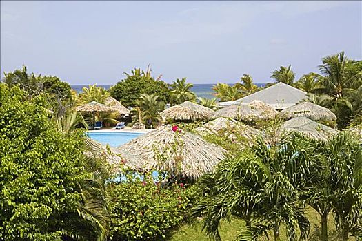 游泳池,旅游胜地,海湾群岛,洪都拉斯