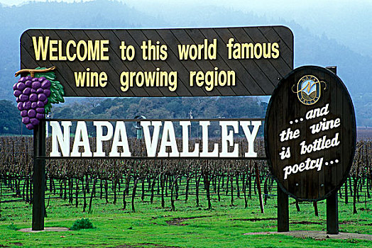 欢迎标志,正面,葡萄园,那帕山谷,加利福尼亚,美国