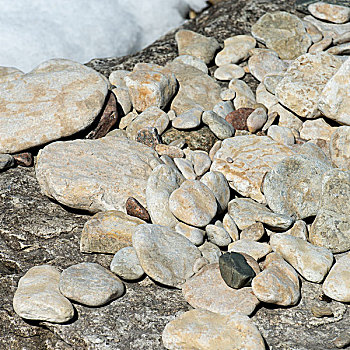 特写,鹅卵石,赫克拉火山磨石省立公园,曼尼托巴,加拿大