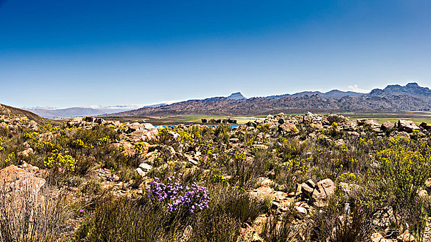 风景,山,靠近,北开普,南非,非洲