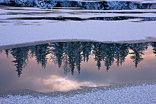 反射,地表水流,河,通加斯国家森林,东南阿拉斯加,冬天