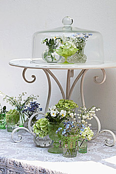 安放,小,花瓶,春花,桌上,玻璃罩