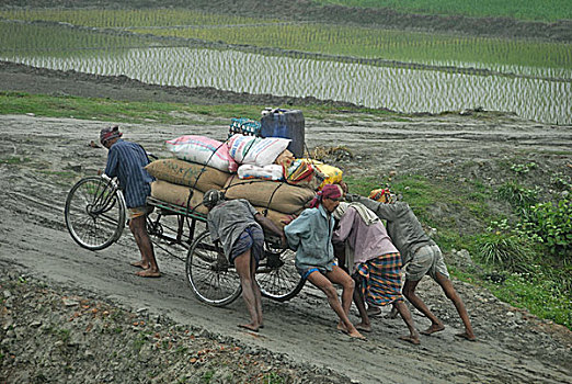村民,推,装载,供给,上坡,孟加拉,二月,2008年