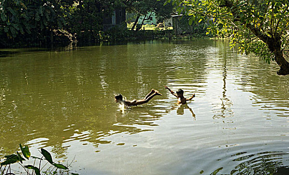 乡村,孩子,玩,水塘,孟加拉,2006年