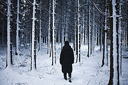 男人,走,积雪,树林