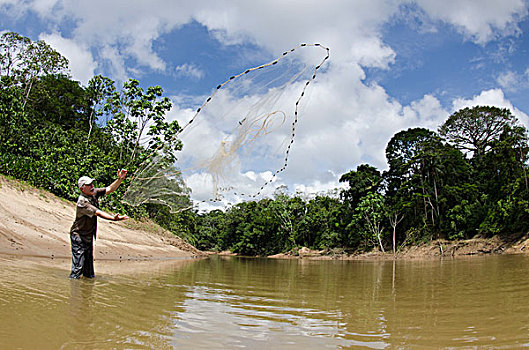 晃动,投掷,网,捕鱼,研究,河,国家公园,亚马逊雨林,厄瓜多尔