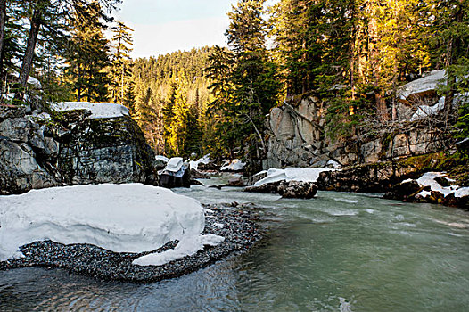 积雪,石头,海岸线,河,不列颠哥伦比亚省,加拿大