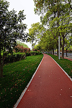 世纪公园跑道,公园外围的一条健身径