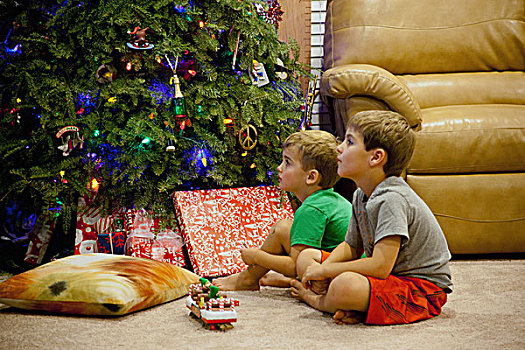 两个,专注,孩子,兄弟,坐,靠近,圣诞树