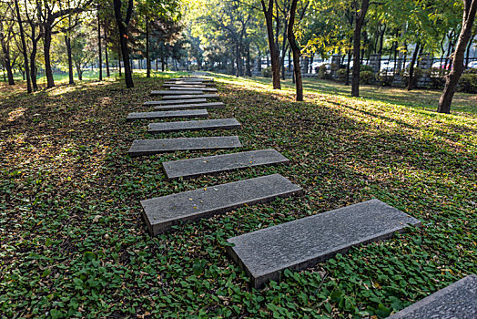 林荫小路