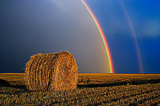 彩虹,大捆,草原,风暴,日落,靠近,柏树,河,曼尼托巴,加拿大
