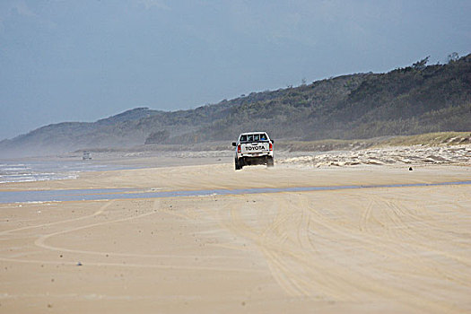 四驱车,交通工具,海滩,弗雷泽岛,昆士兰,澳大利亚