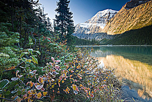 伊迪斯卡维尔山,反射,湖,碧玉国家公园,艾伯塔省,加拿大
