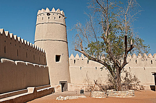 历史,要塞,堡垒,阿布扎比,阿联酋