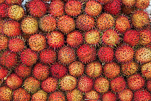 越南,胡志明市,水果摊,展示,红毛丹果