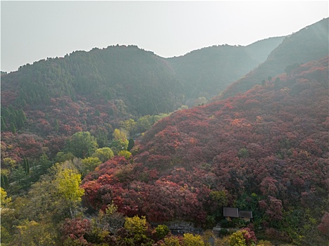 航拍济南红叶谷景区