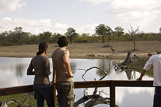 游客,狩猎小屋,南非