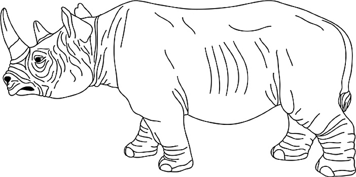 犀牛,轮廓