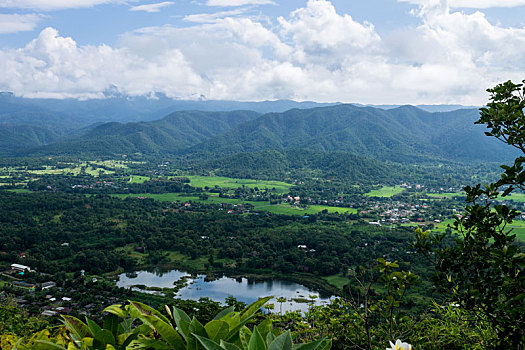 风景