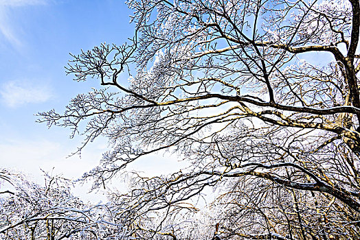 黄山雪凇风光