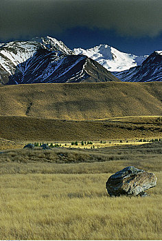 风景,山峦,库克峰国家公园,南岛,新西兰