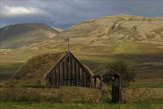 老,教堂,草皮,靠近,半岛,冰岛